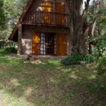 WhatsApp Image 2025-10-12 at 18.36.00