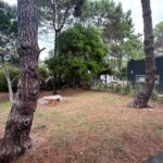 WhatsApp Image 2025-11-03 at 14.00.31