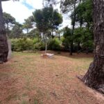 WhatsApp Image 2025-11-03 at 14.00.32 (1)