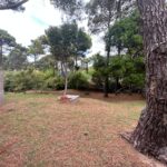 WhatsApp Image 2025-11-03 at 14.00.32