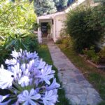 WhatsApp Image 2025-11-04 at 14.02.08 (2)