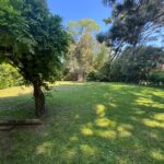 WhatsApp Image 2025-11-22 at 12.49.05 (2)